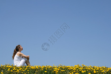 女孩坐在花朵田里图片