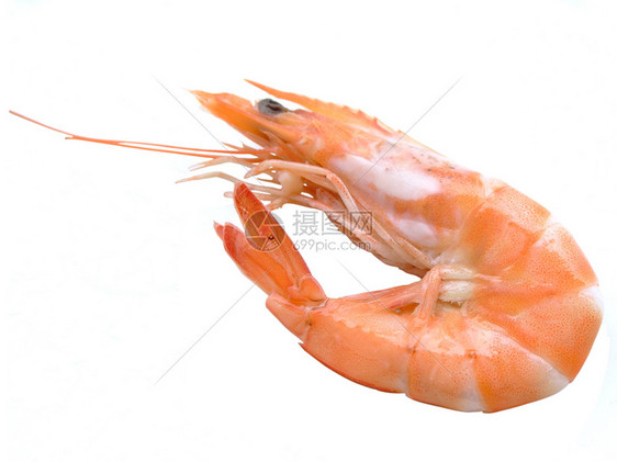 虾海鲜甲壳食物动物橙子图片