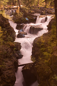 Rogue峡谷侵蚀地衣灌木公园天空岩石山沟国家荒野急流图片