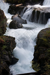 Rogue峡谷地衣风景荒野灌木山沟松树侵蚀瀑布天空岩石图片