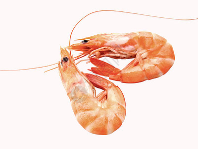 两只虾橙子甲壳食物海鲜盘子动物图片