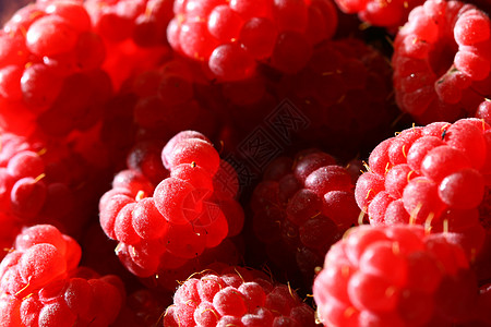 草莓背景水果食物甜点生产宏观营养种子美食覆盆子红宝石图片