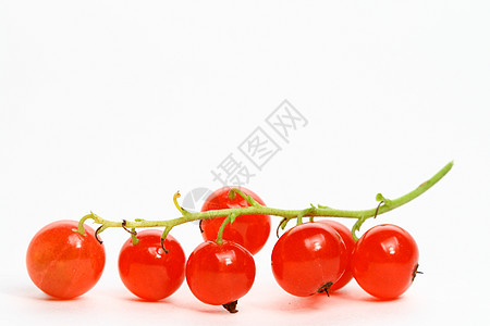红色曲线水果宏观醋栗果味季节甜点膳食尾巴美食静物图片