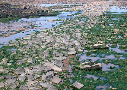 低潮的岩石海岸爬坡海洋潮汐风景岩池海滩冒险海岸线水池图片