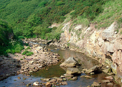 河流穿过峡谷岩石冒险危险绿色植物裂缝县城乡村农村绿色背景图片
