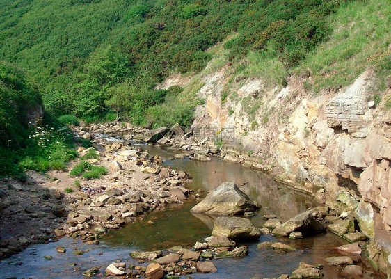 河流穿过峡谷岩石冒险危险绿色植物裂缝县城乡村农村绿色图片