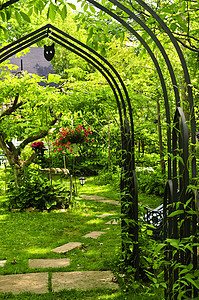 稀绿花园绿色植物小路国家房子凉亭植物途径院子后院花朵图片