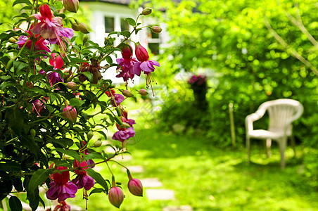家和花园园艺建筑学途径后院树叶房子植物篮子小路椅子图片