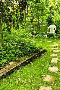 绿色花园小路树木园林后院园艺植物角落花朵人行道房子图片
