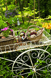 花园中的鲜花车灌木风格住宅金属篮子后院装潢园艺植物美化图片