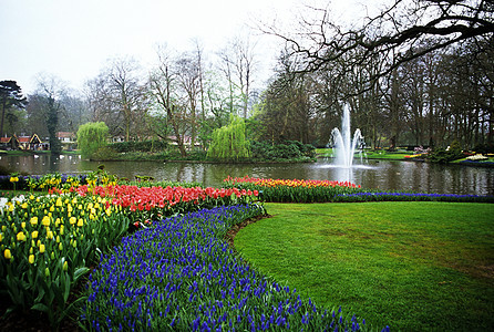 Keukenhof 花园不老泉池塘目的地花朵旅行喷泉郁金香灯泡图片