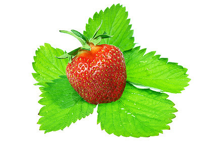 在白色背景中隔离的新鲜和美味鲜嫩草莓浆果水果饮食食物茶点农民种子甜点蔬菜收获图片