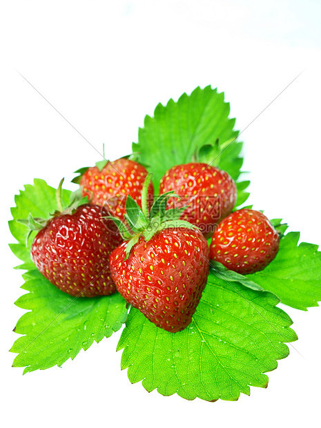 在白色背景中隔离的新鲜和美味鲜嫩草莓茶点蔬菜浆果甜点收获水果食物农民叶子饮食图片