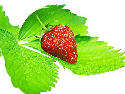 在白色背景中隔离的新鲜和美味鲜嫩草莓收获甜点叶子茶点宏观农民浆果水果种子蔬菜图片