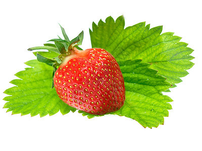 在白色背景中隔离的新鲜和美味鲜嫩草莓浆果饮食茶点水果甜点种子农民食物宏观收获图片