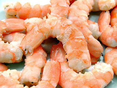 虾块动物盘子海鲜甲壳食物橙子图片