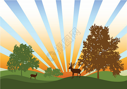 两头鹿太阳植物森林荒野野生动物日落爬坡绘画鹿角动物图片