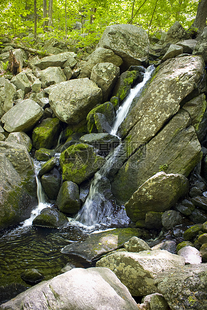 瀑布岩石木头苔藓场景假期美丽石头山脉森林叶子图片