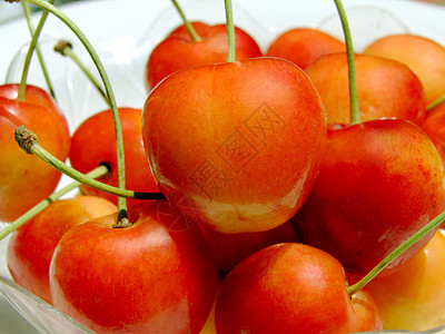 双色樱桃食物黄色红色饮食营养水果图片