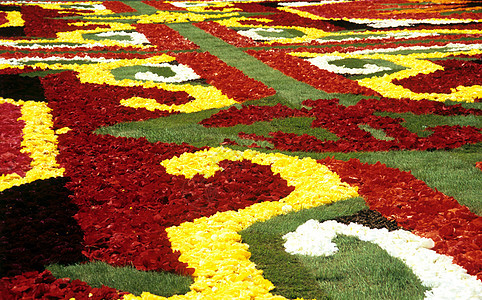 花地毯细节广场星星地标海棠旅行旅游传统节日正方形地毯图片