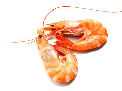 两只虾动物食物橙子盘子海鲜甲壳图片