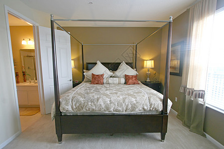 国王大师卧室枕头浴室羽绒被奢华住宅地毯房子窗帘房地产图片