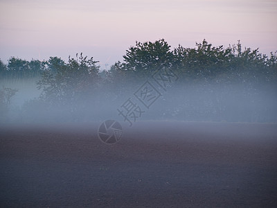 雾雾雾的黑暗风景阴影场景森林树木梦幻季节太阳墙纸射线薄雾图片