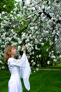 白娘子和白花婚礼神话裙子衣服苹果树传奇新娘公主小精灵故事图片