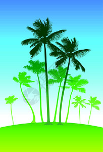 蓝天空背景的棕榈树树叶情调蓝色坡度天空绿色插图异国爬坡活力图片