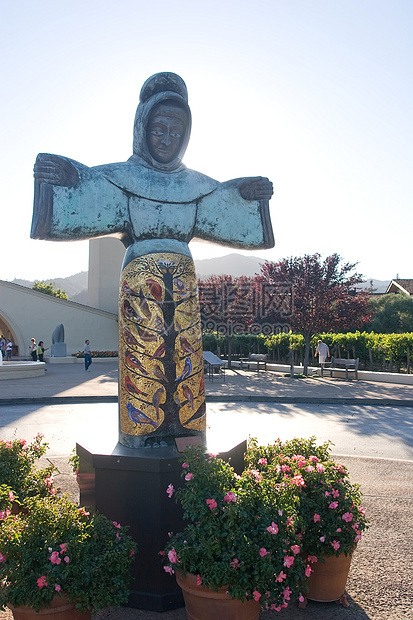 圣弗朗西斯酿酒房子藤蔓大厦葡萄园生长风景乡村农业国家图片