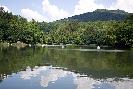 环西瓦尼亚湖中的熊湖国家松树游客旅游旅行公园小屋假期树林小路图片