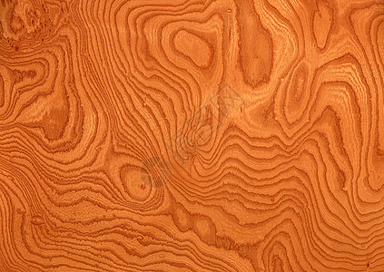 地板特写背景的密闭木木质纹理家具建造木材木地板木匠宏观装饰样本硬木地面背景