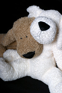 小狗抱抱拥抱夫妻朋友玩具白色友谊图片