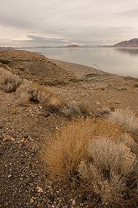 金字湖部落旅行碳酸盐岩石游客智者吸引力金字塔沙漠图片