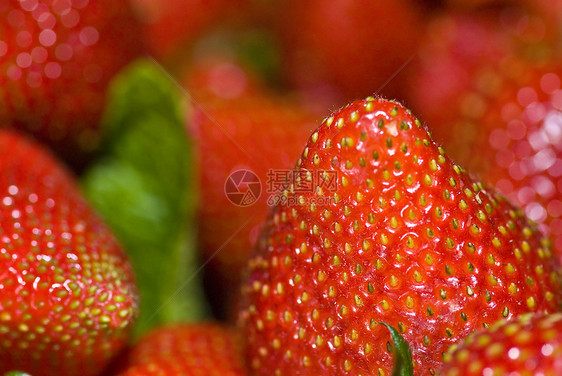 填满框架的草莓图片
