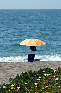 海滩波浪旅游热带海洋酷暑棕榈天空洗澡假期蓝色图片