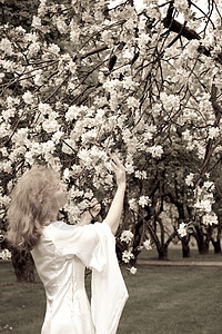 白娘子和白花故事衣服小精灵女性棕褐色草地树林神话女士花园图片