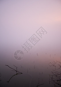 福吉湖湖场地风景田园黄色红色薄雾紫色棕色风光阳光图片