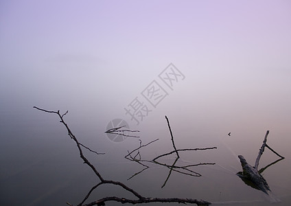 福吉湖湖薄雾紫色风光植物阳光风景场地森林文化棕色图片