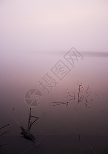 福吉湖湖场景棕色橙子薄雾植物风景场地红色森林阳光图片