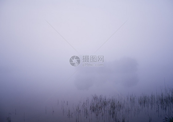 福吉早晨阳光田园黄色森林红色风光植物棕色叶子风景图片