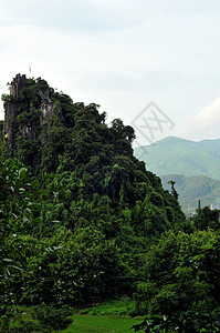 美丽的风景如凡维昂热带丛林旅行悬崖稻田山脉热带雨林假期岩石丘陵图片