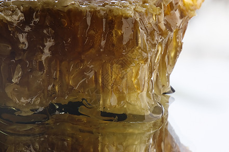 蜂蜜蜂窝甜点金子药品橙子细胞黄色棕色糖果食物蜂蜡图片