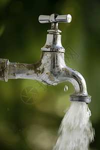 从花园水龙头流出的雨水生态滴水绿色损失跑步图片