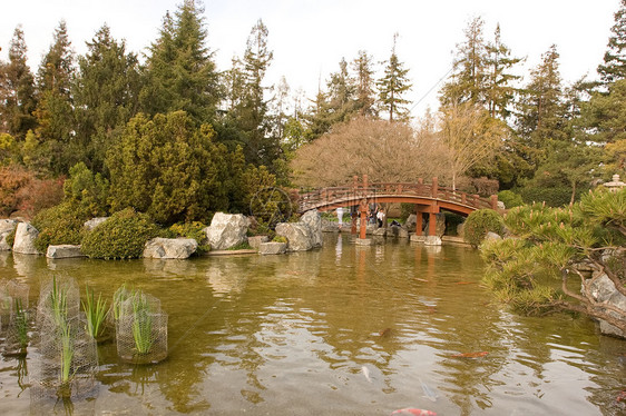 日本友谊花园反射池塘竹子公园晴天绿化园林植物怀旧冥想图片