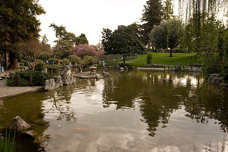 日本友谊花园绿色晴天公园冥想园林植物反射池塘怀旧绿化图片