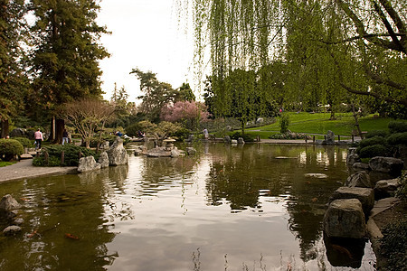 日本友谊花园植物怀旧池塘绿色冥想晴天公园竹子绿化反射图片