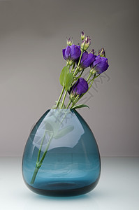 花瓶中的粘贴花温泉美丽植物植物群花瓣艺术压痛热情玻璃邀请函图片