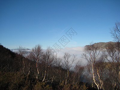 雾和蓝背景图片
