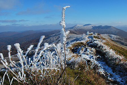 双茨扎丁(biezzczady)图片